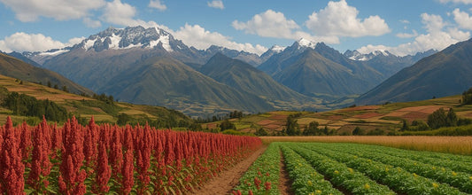 Andean Adaptogens: How Peru’s Native Superfoods Are Fueling the Next Wave of Nutraceuticals