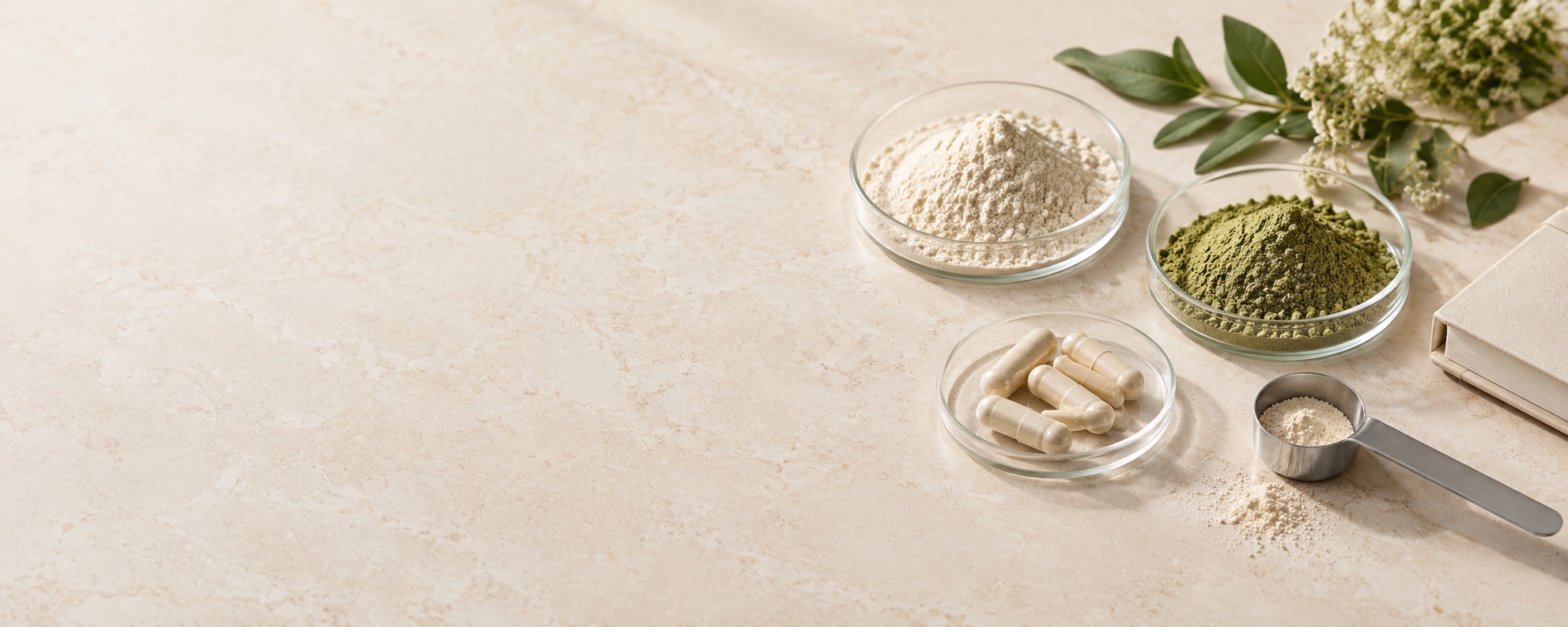 Illustrative still life of botanical powders, capsules, a sample scoop and a notebook on a warm stone surface.